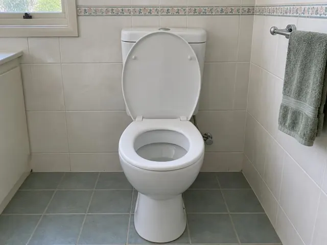 Clean white toilet in a tiled bathroom with a dry floor and towel rail in Beecroft
